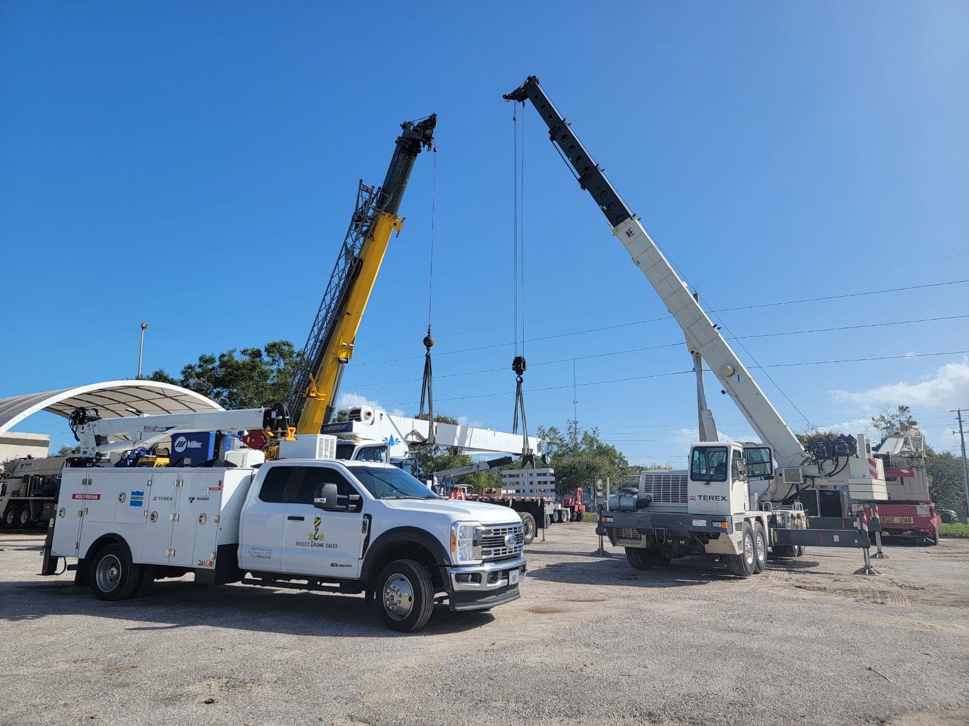 Lorem ipsum dolor sit amet consectetur adipiscing elit.